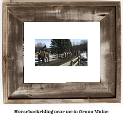 horseback riding near me in Orono, Maine